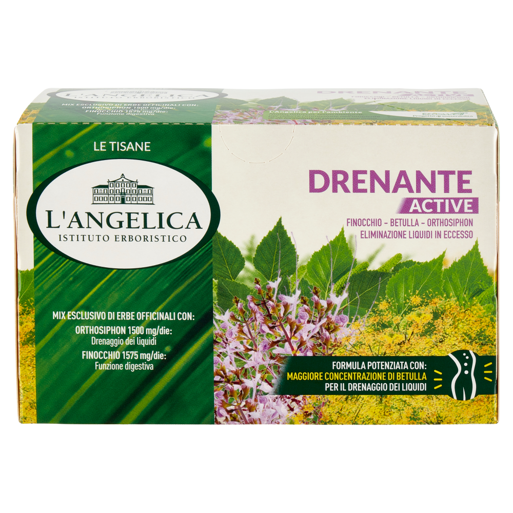 L Angelica Le Tisane Drenante Active Filtri G Carrefour